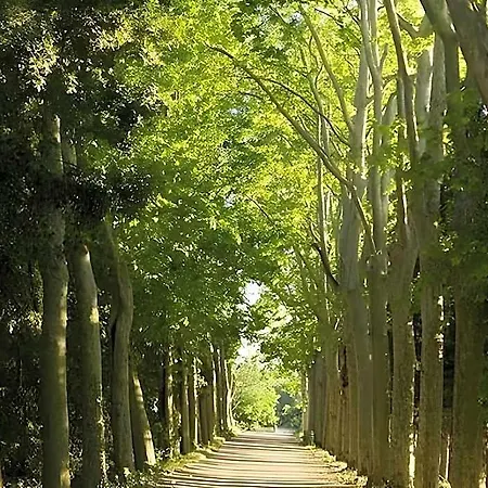 Pech-celeyran